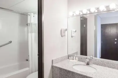 a bathroom with a sink and a mirror and a toilet at Albany Plaza Hotel in Albany