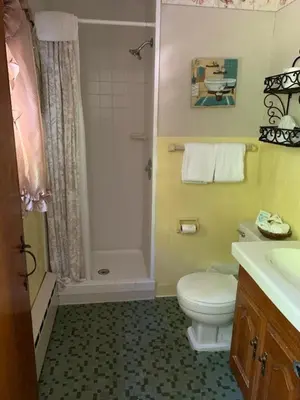 a bathroom with a toilet and a shower and a sink at Stay Berkshires in Williamstown