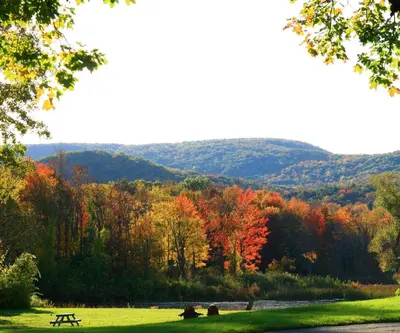 a picnic table in a field next to a river at Hampton Inn & Suites Berkshires-Lenox in Lenox