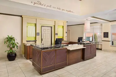a lobby with a reception desk with a potted plant at Hilton Garden Inn Hartford North-Bradley International Airport in Windsor
