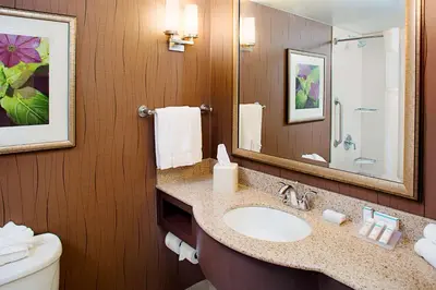 a bathroom with a sink and a toilet and a mirror at Hilton Garden Inn Hartford North-Bradley International Airport in Windsor
