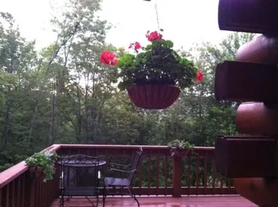 a balcony with a flower pot hanging from a fence at The Catskill Cabin in Elka Park
