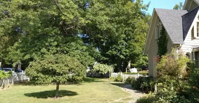 a house with a tree in the yard at The Gables of Rhinebeck in Rhinebeck