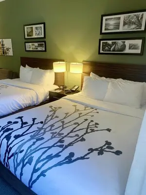 a hotel room with two beds with a painting on them at Sleep Inn & Suites Queensbury - Lake George in Queensbury