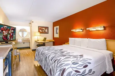 a hotel room with a bed and a television at Red Roof Inn Albany Airport in Albany