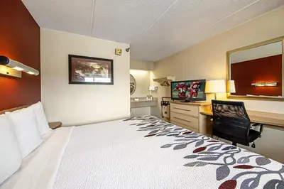 a hotel room with a large bed and a desk at Red Roof Inn Albany Airport in Albany
