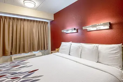 a bed in a hotel room with a red wall at Red Roof Inn Albany Airport in Albany