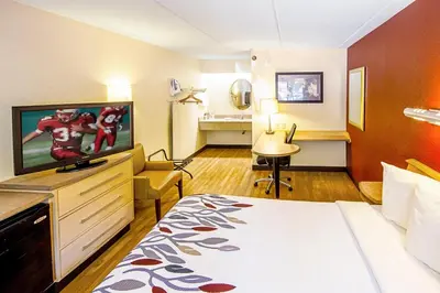 a hotel room with a bed and a flat screen tv at Red Roof Inn Albany Airport in Albany