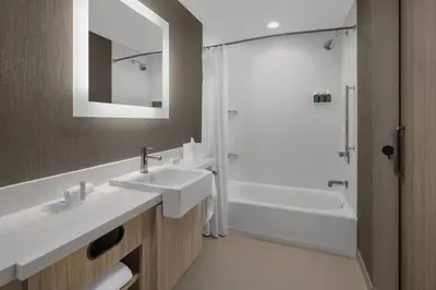 a bathroom with a sink and a shower and a tub at SpringHill Suites by Marriott Tuckahoe Westchester County in Tuckahoe