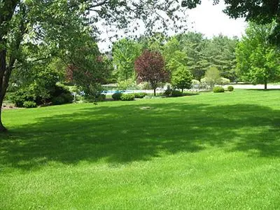 a large field of green grass with a tree in it at Interlaken Inn in Lakeville
