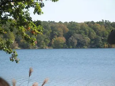 a view of a lake with trees in the background at Interlaken Inn in Lakeville