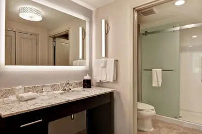 a bathroom with a sink and a toilet and a mirror at Homewood Suites By Hilton Poughkeepsie in Poughkeepsie