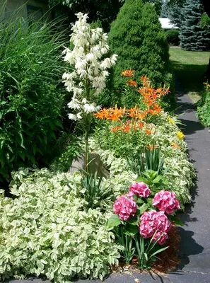 a garden with white flowers and green plants at Lukans Farm Resort in Hawley