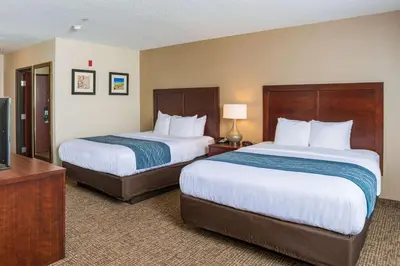 a hotel room with two beds and a television at Comfort Inn Naugatuck-Shelton, CT in Naugatuck