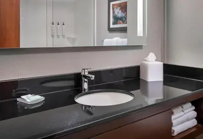 a bathroom counter with a sink and a mirror at Fairfield Inn & Suites by Marriott Great Barrington Lenox/Berkshires in Great Barrington