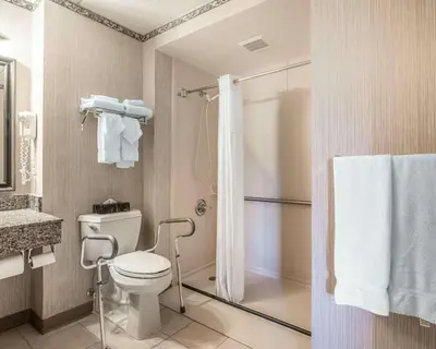 a bathroom with a toilet and a shower at The Marx Hotel - Downtown - University Area in Oneonta