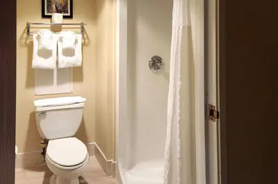 a bathroom with a toilet and a shower with towels at Comfort Inn & Suites Mount Pocono in Mount Pocono