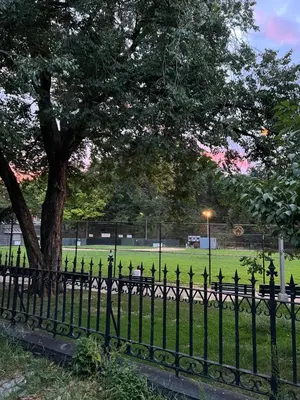 a black fence with a tree in a park at Soul Food 'Mont Morris' in New York