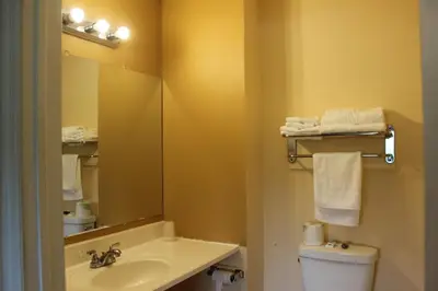 a bathroom with a sink and a mirror and a toilet at Berkshire Travel Lodge in Canaan