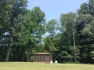 two animals standing in a field with a shed at Robin Hood Motel in Saratoga Springs