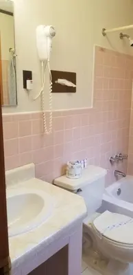 a pink bathroom with a sink and a toilet at Red Ranch Inn in Catskill
