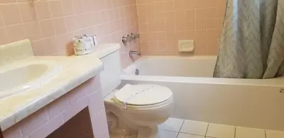 a bathroom with a toilet and a sink and a tub at Red Ranch Inn in Catskill