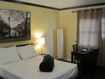 a black cat sitting on a bed in a bedroom at Central Motel Courtyard in White Plains