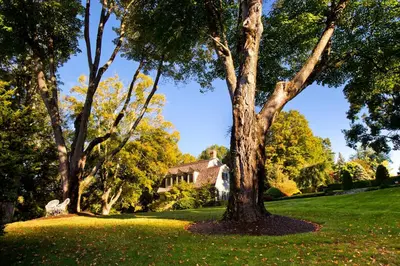 a park with trees and a house in the background at The Mayflower Inn & Spa, Auberge Collection in Washington