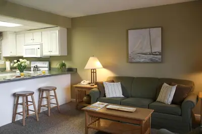 a living room with a couch and a kitchen at Silver Birches Resort in Hawley
