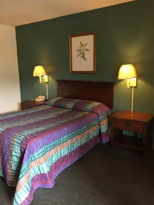 a hotel room with a bed and two night tables at Hudson Plaza Motel Bayonne Jersey City in Jersey City