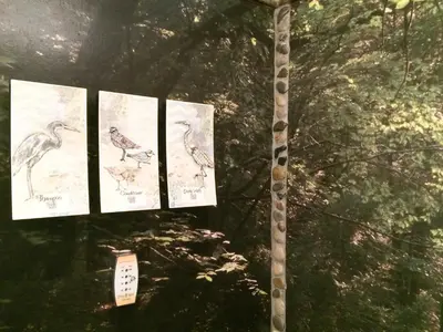 a group of drawings of birds on paper at The Connecticut River Valley Inn Hartford South/Glastonbury in Glastonbury