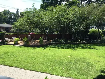 a yard with a tree and a fence at Batcheller Mansion Inn in Saratoga Springs