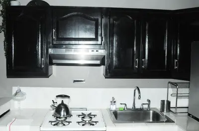 a kitchen with black cabinets and a sink and a stove at Plush Spacious 1 bedroom apt Williamsburg in Brooklyn