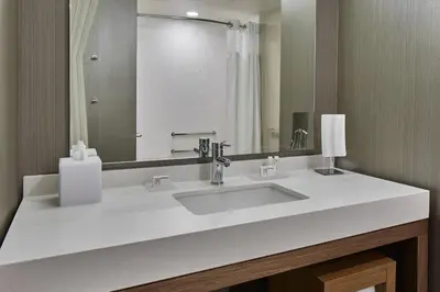 a bathroom with a white sink and a mirror at Courtyard by Marriott Albany Airport in Albany