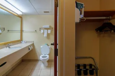 a bathroom with a toilet and a sink and a mirror at Hotel M Mount Pocono in Mount Pocono