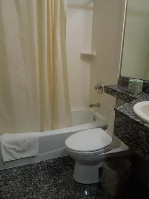a bathroom with a toilet and a tub and a sink at Red Carpet Inn Brooklyn in Brooklyn