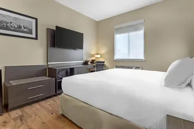 a bedroom with a large white bed and a television at Best Western Jamaica Inn in Queens