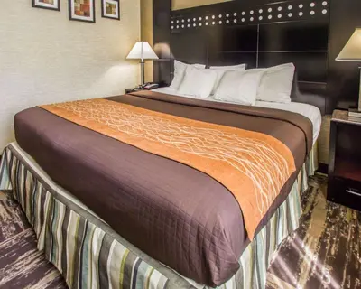a large bed in a hotel room at Rodeway Inn Bronx Zoo in Bronx