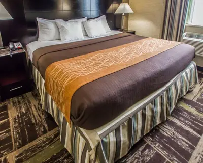 a large bed in a hotel room at Rodeway Inn Bronx Zoo in Bronx