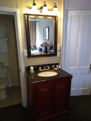 a bathroom with a sink and a mirror at Hotel Wayne in Honesdale