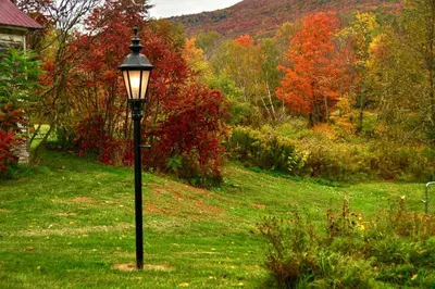 a black light pole in the grass in a field at Mountain Treasure Bed and Breakfast in Maplecrest