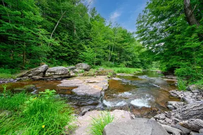 a stream with rocks and trees in a forest at Mountain Treasure Bed and Breakfast in Maplecrest