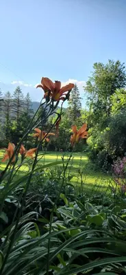 a view of a garden with a flower at A River Runs Through It in East Branch