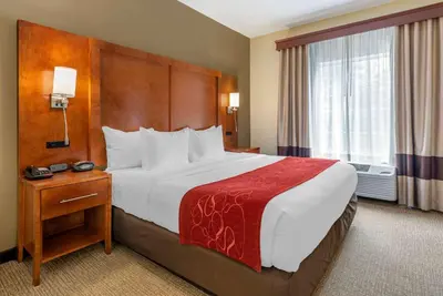a hotel room with a large bed and a window at Comfort Suites Newark - Harrison in Newark