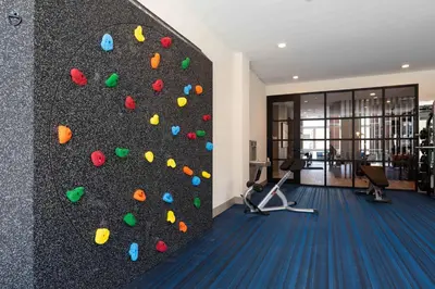 a gym with a climbing wall in a building at Luxury Furnished Apartments by Hyatus Downtown at Yale in New Haven