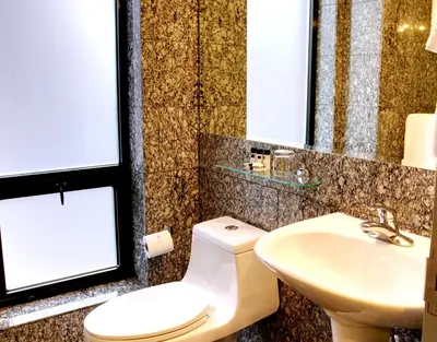 a bathroom with a toilet and a sink at The Ridge in New York