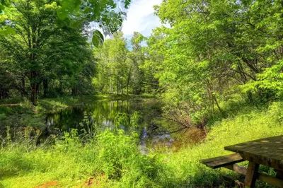 a picnic table next to a river in a park at 5 Mi to Cooperstown All Star Village Otego Home in Otego
