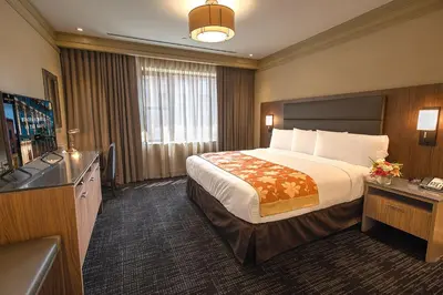 a hotel room with a bed and a television at Opera House Hotel in Bronx