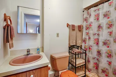 a bathroom with a sink and a toilet and a shower at Mountain Top Country Hideaway 48 Acres, Fire Pit! in Leonardsville