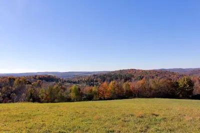 a grassy field with trees in the background at Mountain Top Country Hideaway 48 Acres, Fire Pit! in Leonardsville